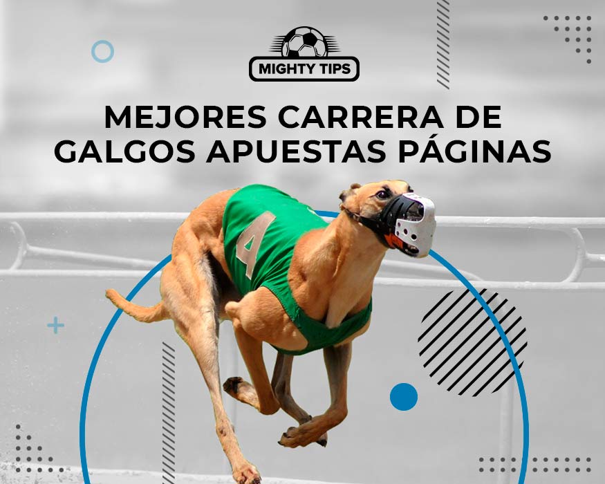 Carrera de galgos