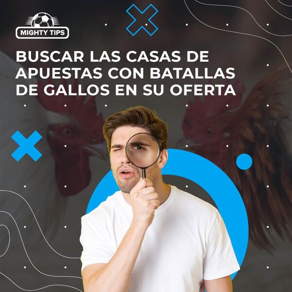Buscar las casas de apuestas