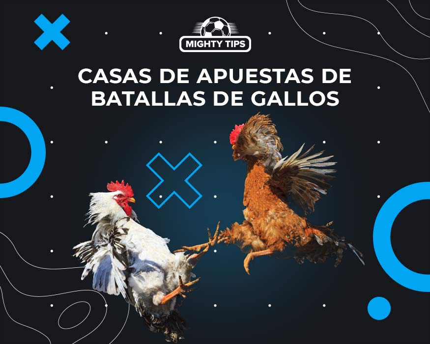 apuestas de gallos