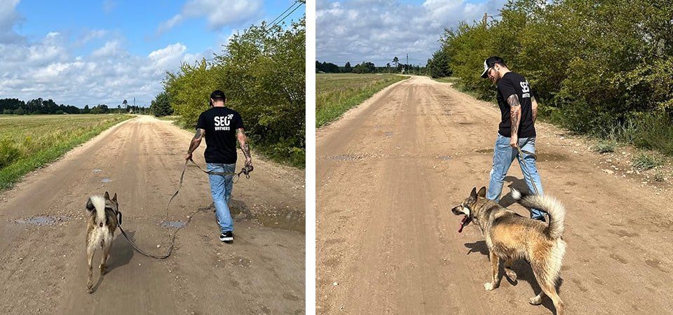 El Huracán de visita en un refugio de animales - 2