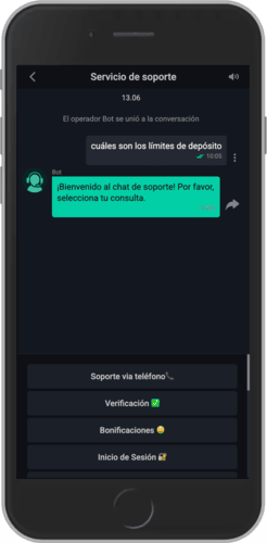 Captura de pantalla móvil de la página de asistencia Pin-up