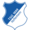TSG Hoffenheim logo