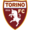 Torino logo